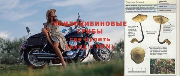 jwh Аркадак