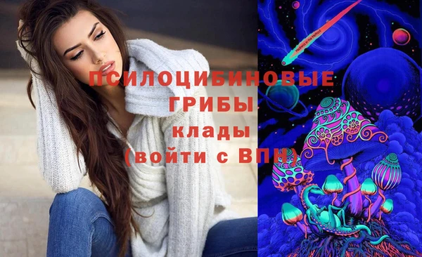 метадон Арсеньев